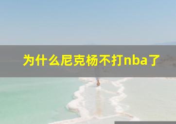 为什么尼克杨不打nba了