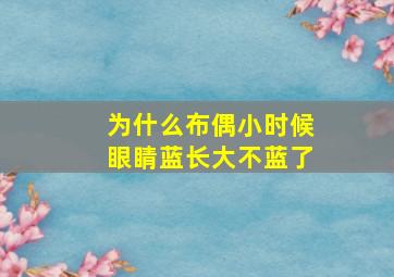 为什么布偶小时候眼睛蓝长大不蓝了