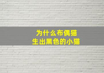 为什么布偶猫生出黑色的小猫