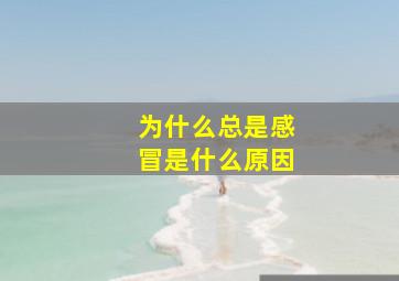 为什么总是感冒是什么原因