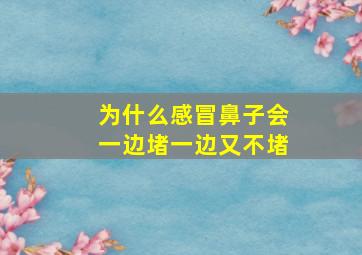 为什么感冒鼻子会一边堵一边又不堵