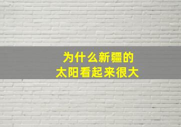 为什么新疆的太阳看起来很大