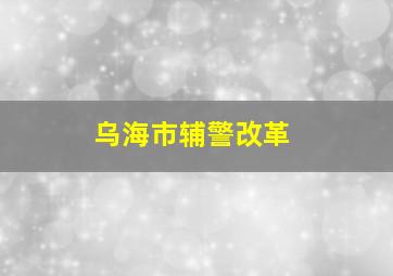 乌海市辅警改革