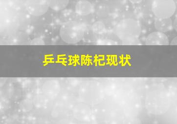 乒乓球陈杞现状