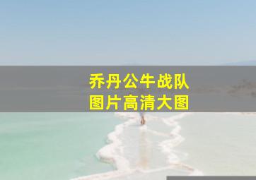 乔丹公牛战队图片高清大图