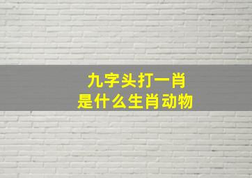 九字头打一肖是什么生肖动物