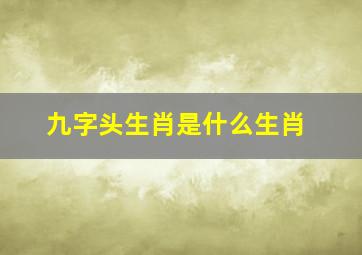 九字头生肖是什么生肖