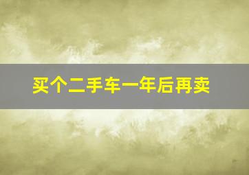 买个二手车一年后再卖