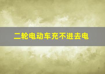 二轮电动车充不进去电