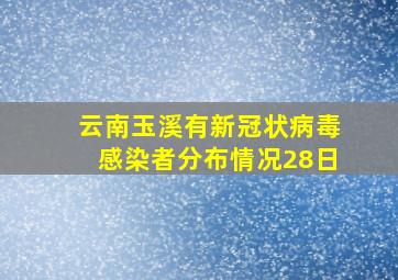 云南玉溪有新冠状病毒感染者分布情况28日