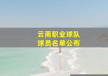 云南职业球队球员名单公布