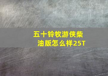 五十铃牧游侠柴油版怎么样25T