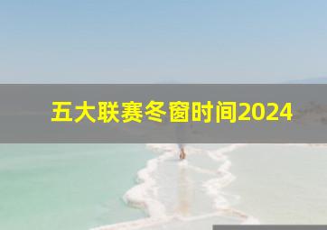 五大联赛冬窗时间2024