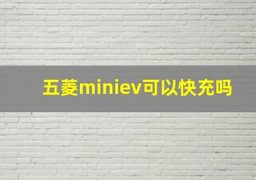 五菱miniev可以快充吗