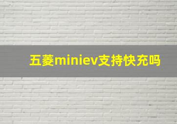 五菱miniev支持快充吗