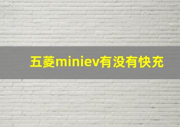 五菱miniev有没有快充