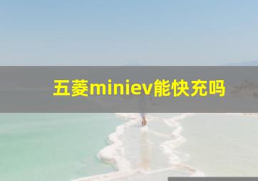 五菱miniev能快充吗