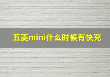 五菱mini什么时候有快充