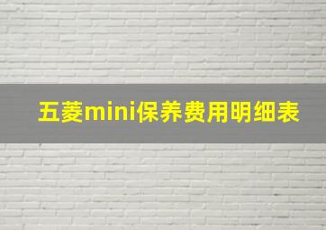 五菱mini保养费用明细表