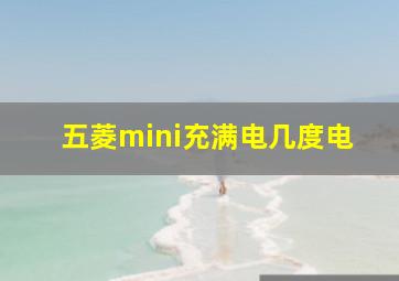 五菱mini充满电几度电