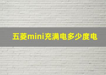 五菱mini充满电多少度电