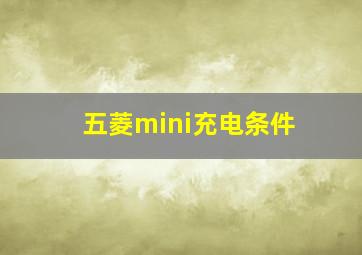 五菱mini充电条件