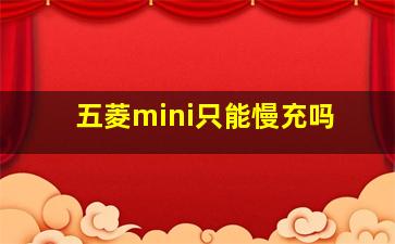 五菱mini只能慢充吗