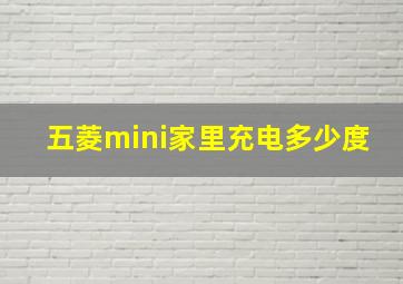 五菱mini家里充电多少度