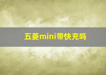 五菱mini带快充吗