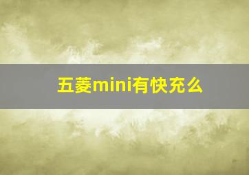 五菱mini有快充么