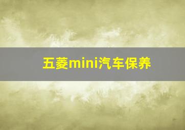 五菱mini汽车保养