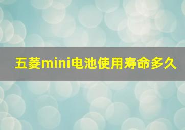 五菱mini电池使用寿命多久