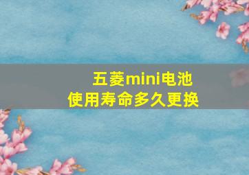 五菱mini电池使用寿命多久更换