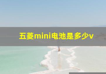 五菱mini电池是多少v