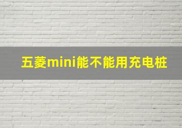 五菱mini能不能用充电桩