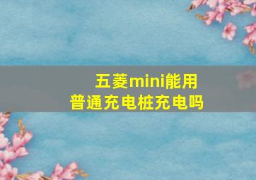 五菱mini能用普通充电桩充电吗