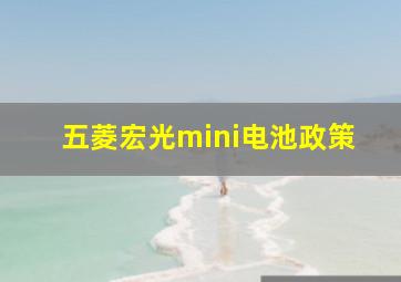 五菱宏光mini电池政策