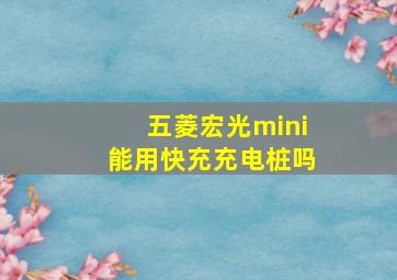 五菱宏光mini能用快充充电桩吗