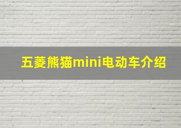 五菱熊猫mini电动车介绍