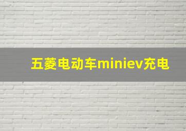 五菱电动车miniev充电