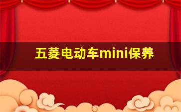 五菱电动车mini保养