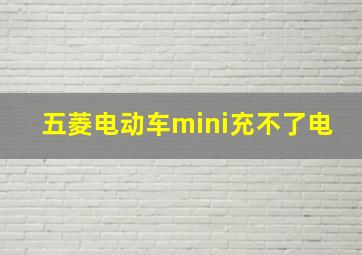 五菱电动车mini充不了电