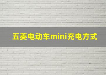 五菱电动车mini充电方式