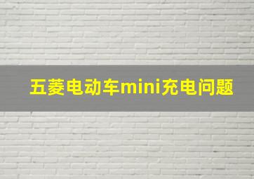 五菱电动车mini充电问题