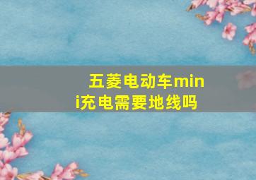 五菱电动车mini充电需要地线吗