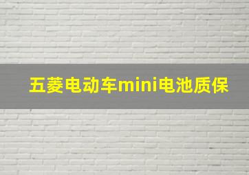 五菱电动车mini电池质保