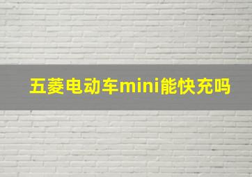 五菱电动车mini能快充吗