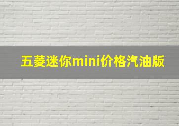 五菱迷你mini价格汽油版