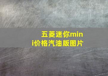 五菱迷你mini价格汽油版图片