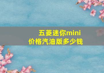 五菱迷你mini价格汽油版多少钱